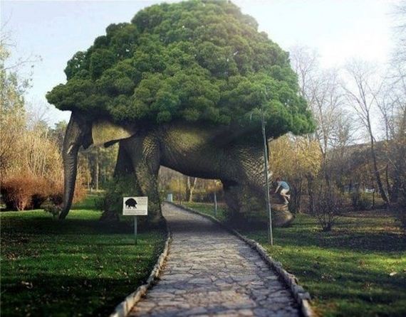 funny-pictures-354