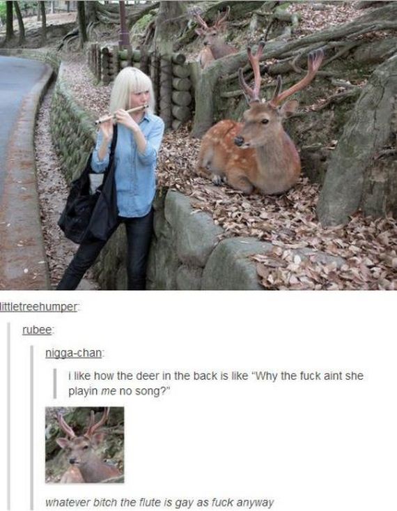 funny-pictures-354