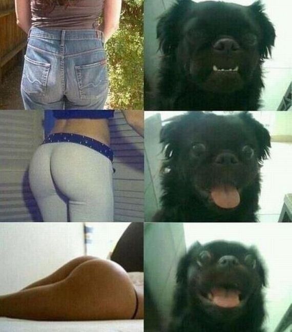 funny-pictures-354
