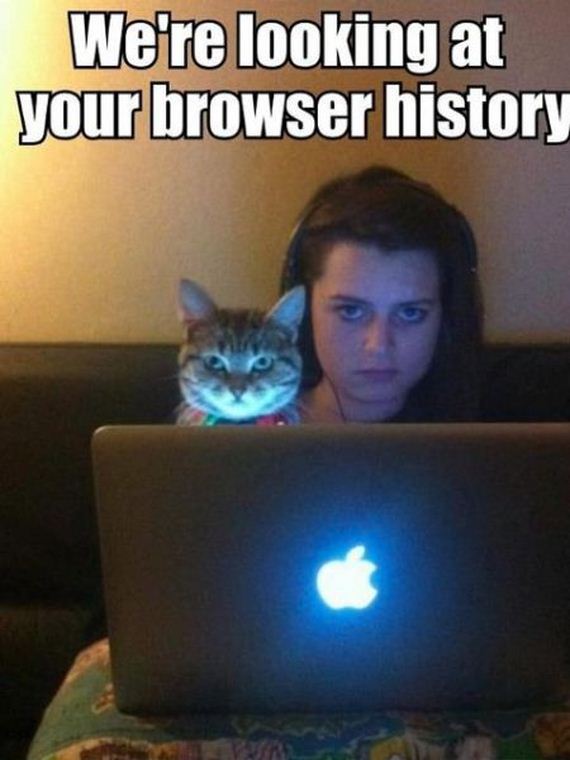 funny-pictures-354