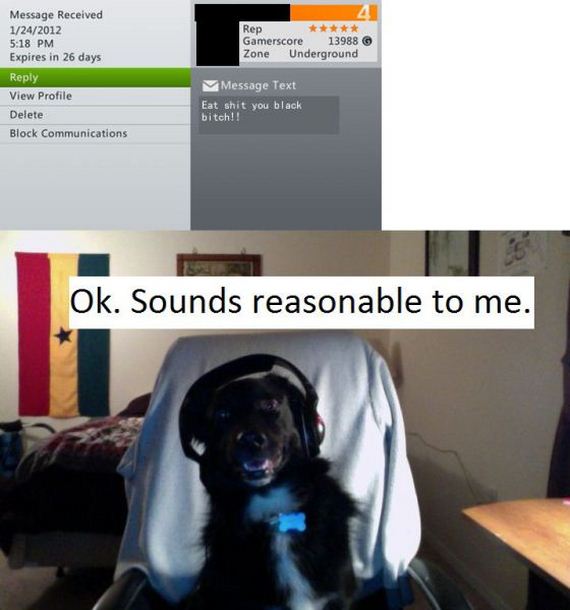 funny-pictures-355