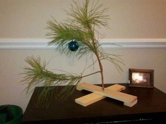 funny-pictures-358