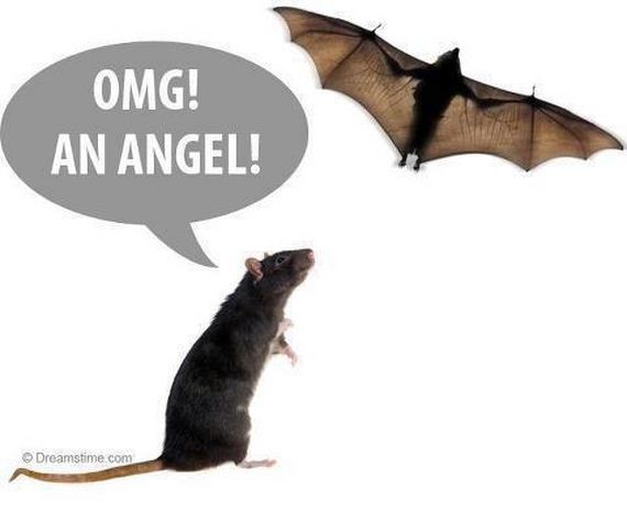 funny-pictures-358