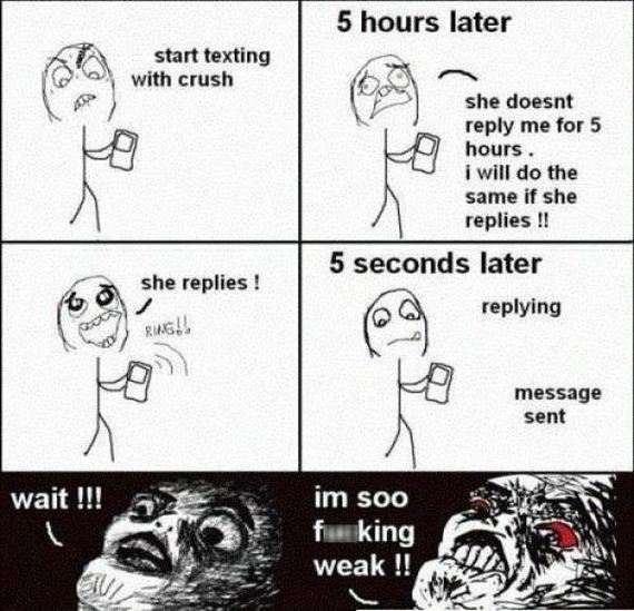 funny-pictures-360