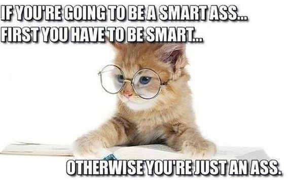 funny-pictures-361