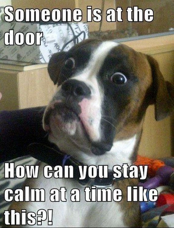 funny-pictures-363