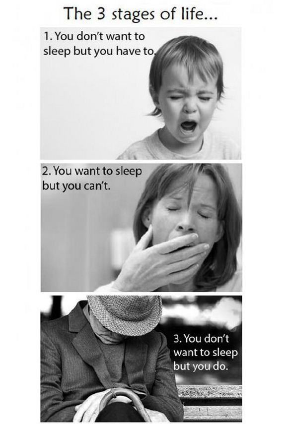funny-pictures-363