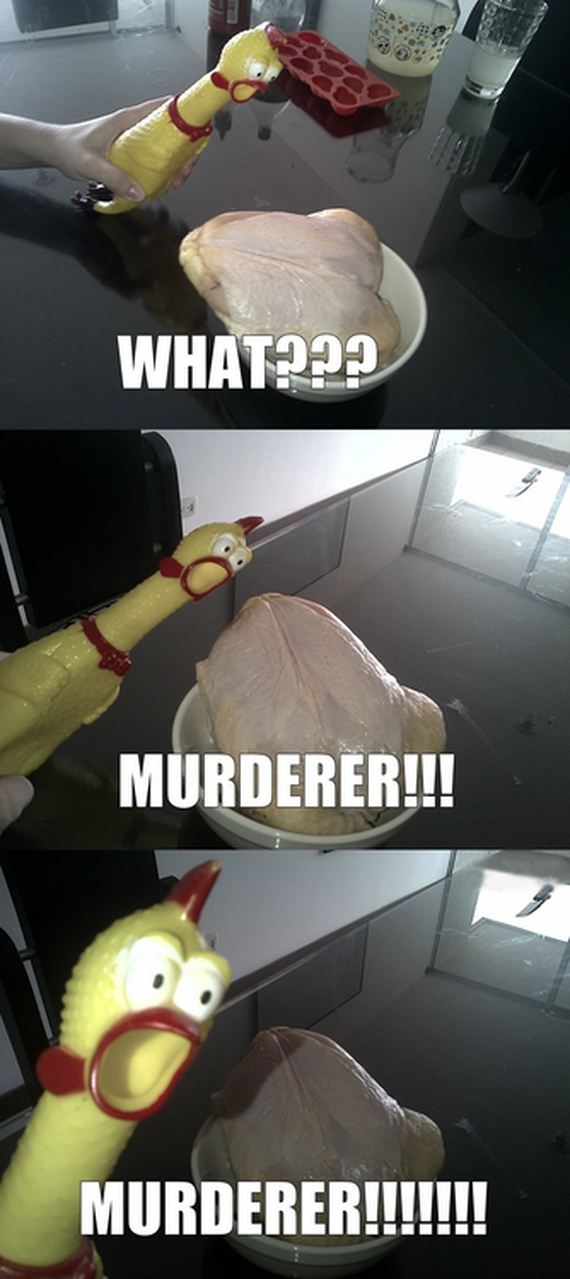 funny-pictures-363