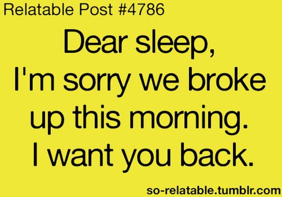 funny-pictures-364