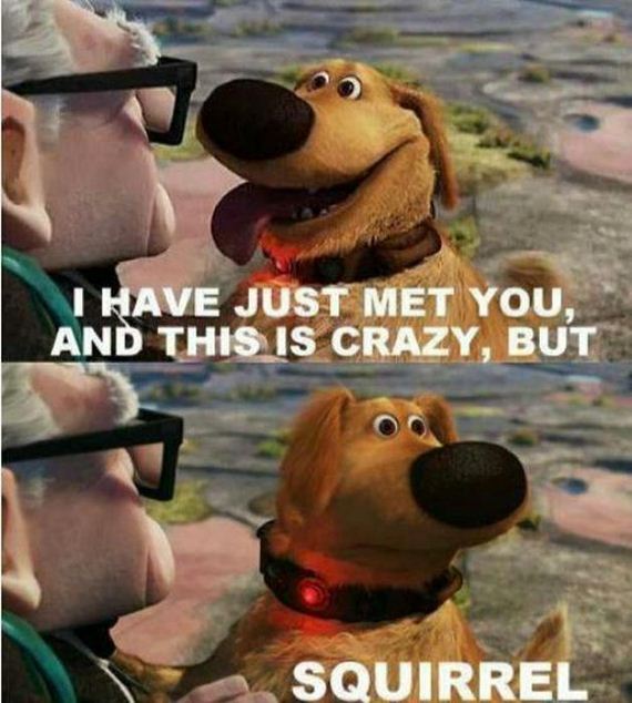 funny-pictures-364