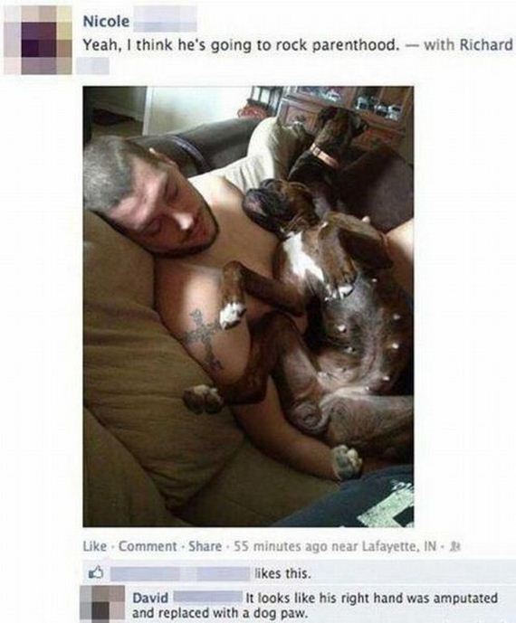 funny-pictures-364