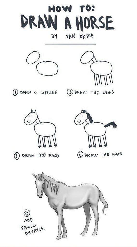 funny-pictures-364