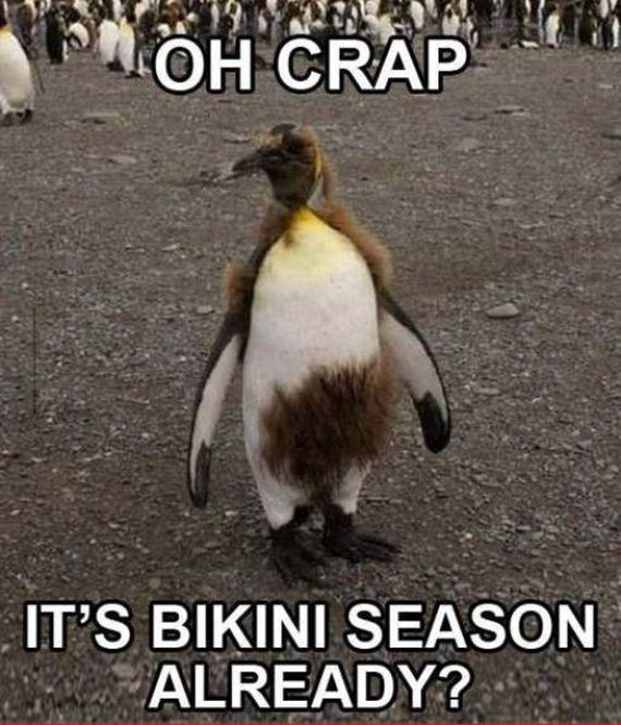 funny-pictures-365
