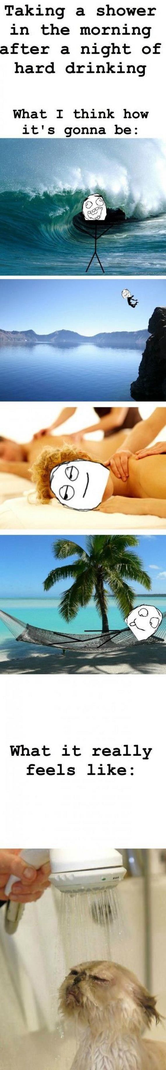funny-pictures-366