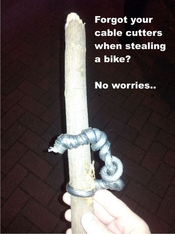 funny-pictures-368