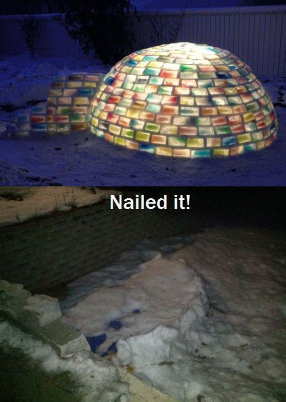 funny-pictures-368