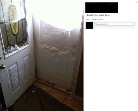 funny-pictures-368