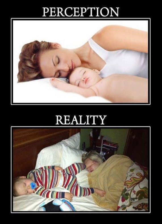 funny-pictures-368