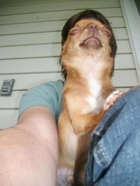 funny-pictures-369