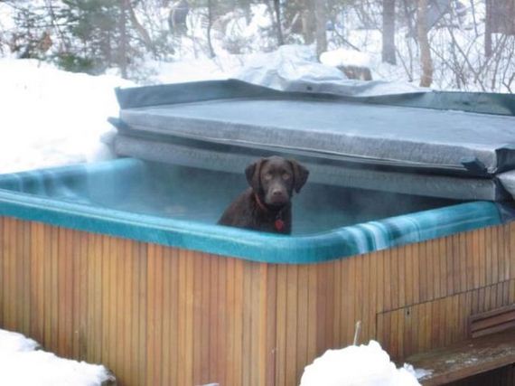 funny-pictures-369