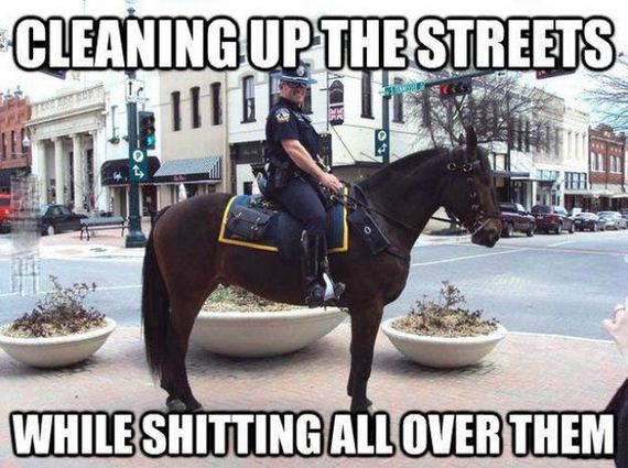funny-pictures-369