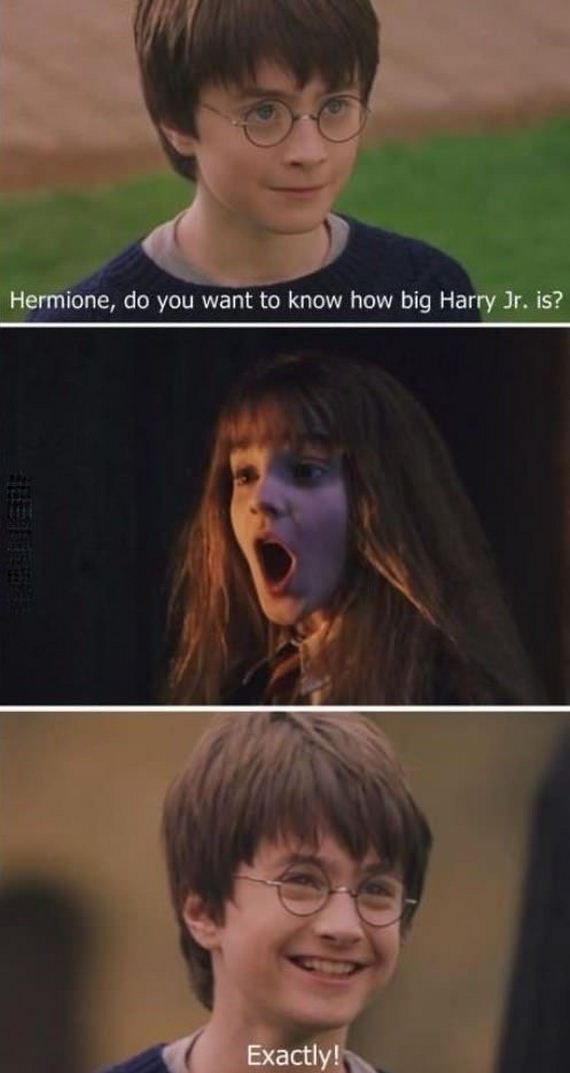 funny-pictures-369