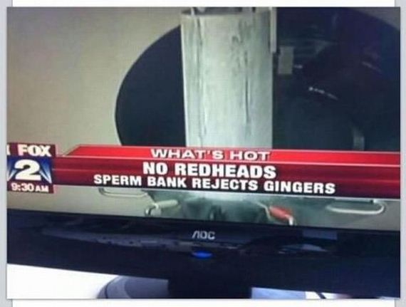 funny-pictures-370