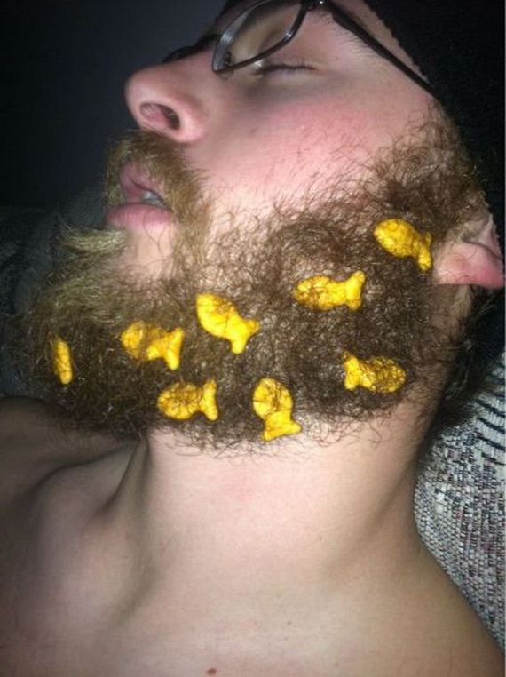 funny-pictures-370
