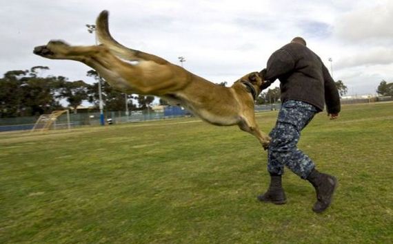 funny-pictures-370