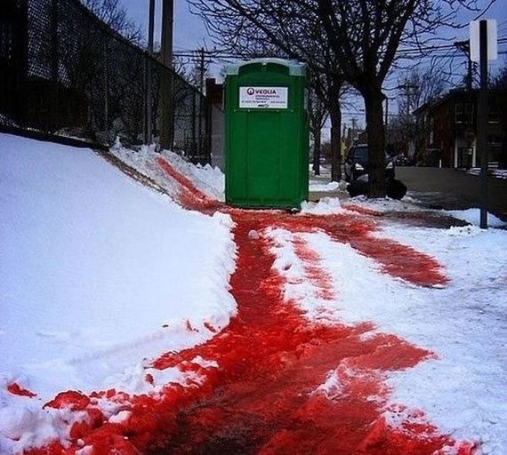 funny-pictures-370