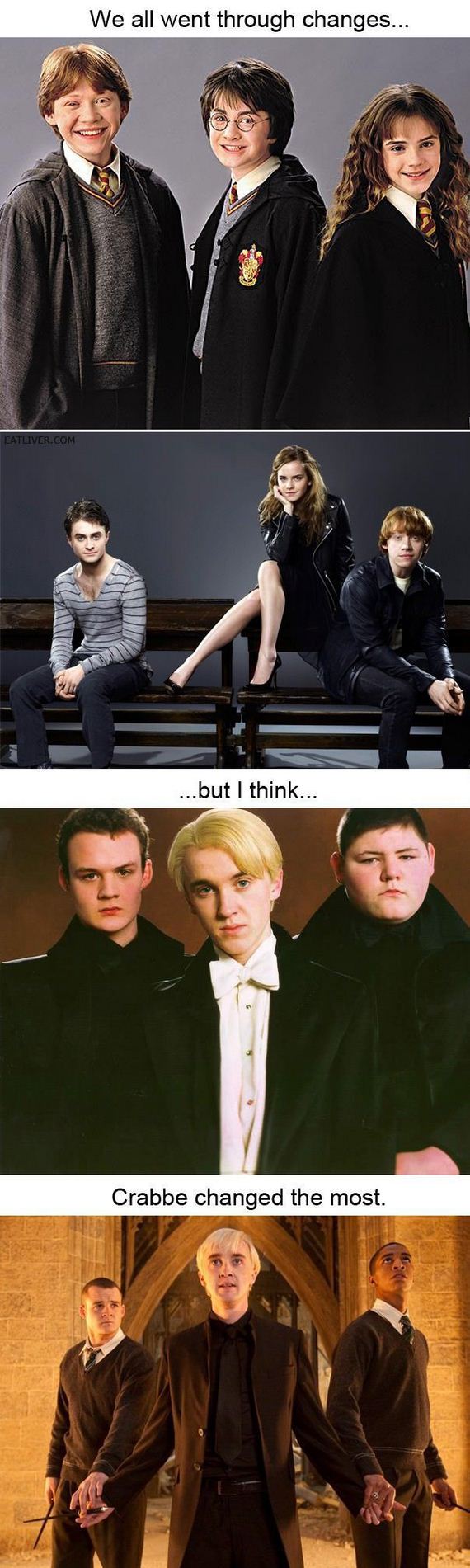funny-pictures-370