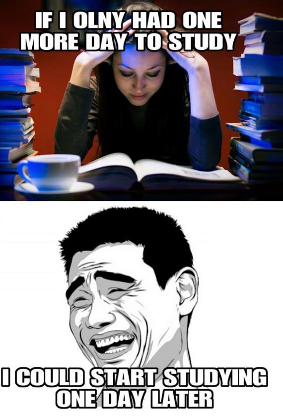 funny-pictures-370
