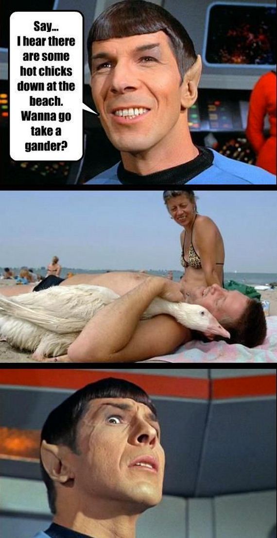 funny-pictures-371