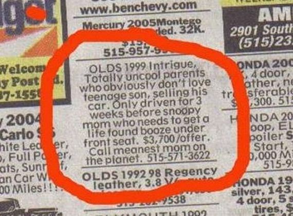 funny-pictures-373