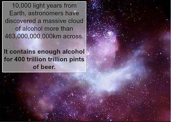 funny-pictures-373
