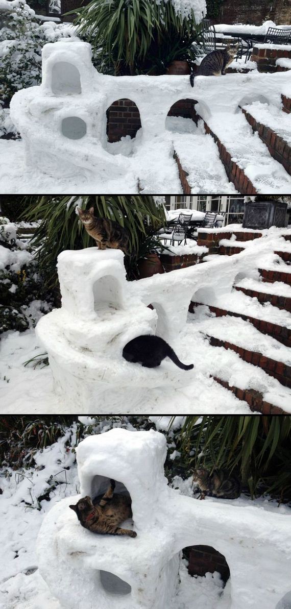 funny-pictures-375