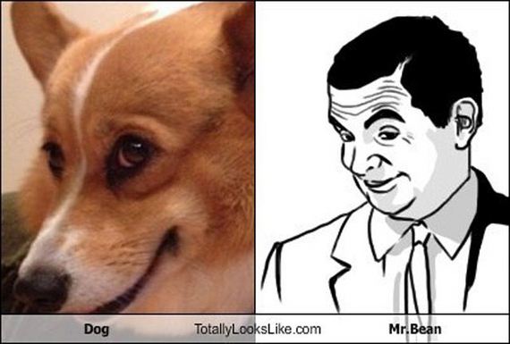 funny-pictures-375