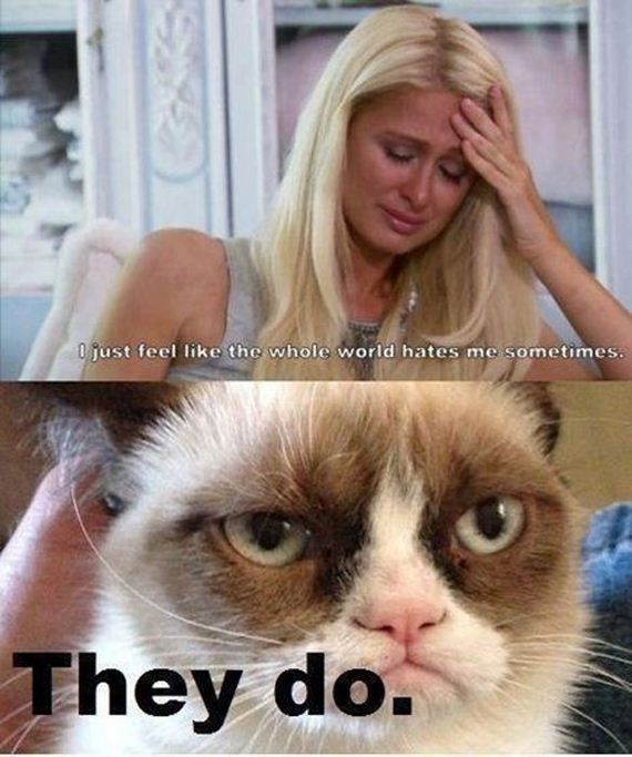 funny-pictures-375