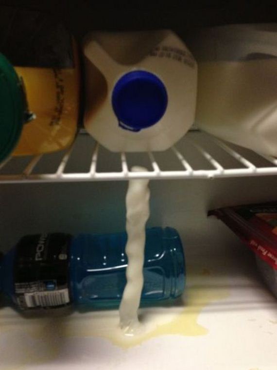 funny-pictures-376