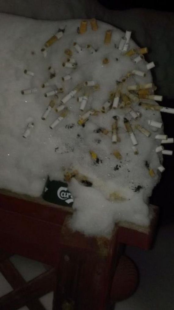 funny-pictures-376