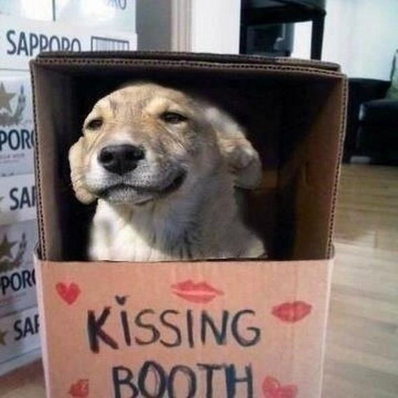 funny-pictures-376