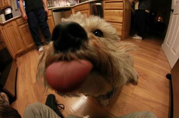 funny-pictures-376