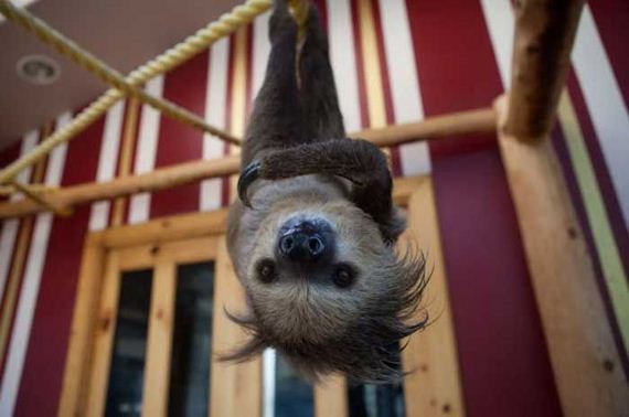 funny-pictures-376