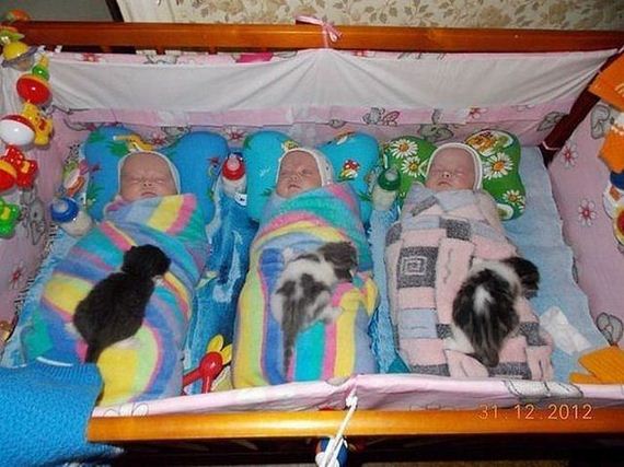 funny-pictures-378