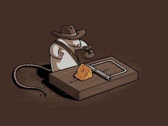 funny-pictures-378