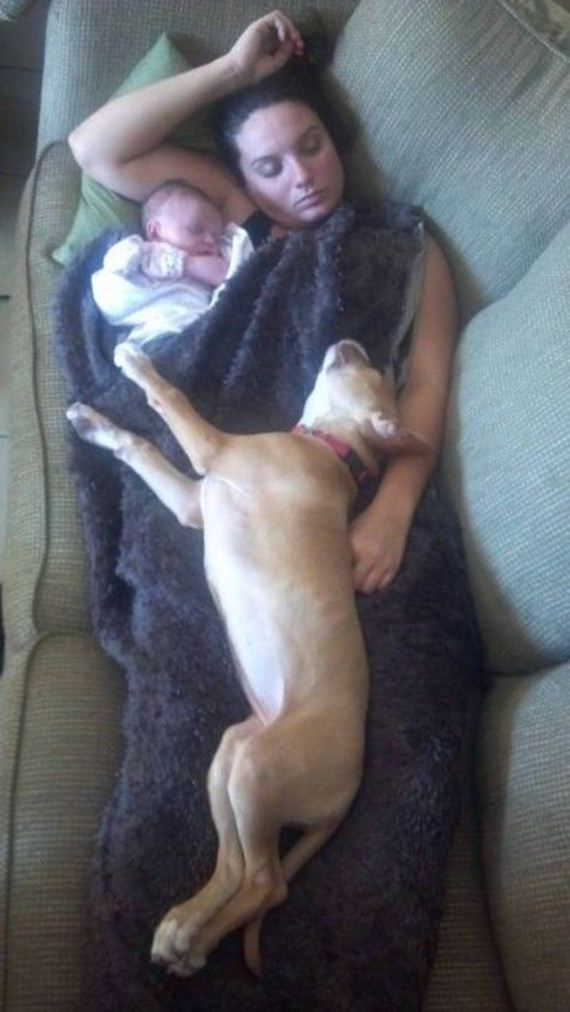 funny-pictures-378