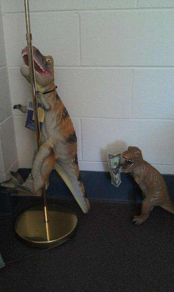 funny-pictures-378