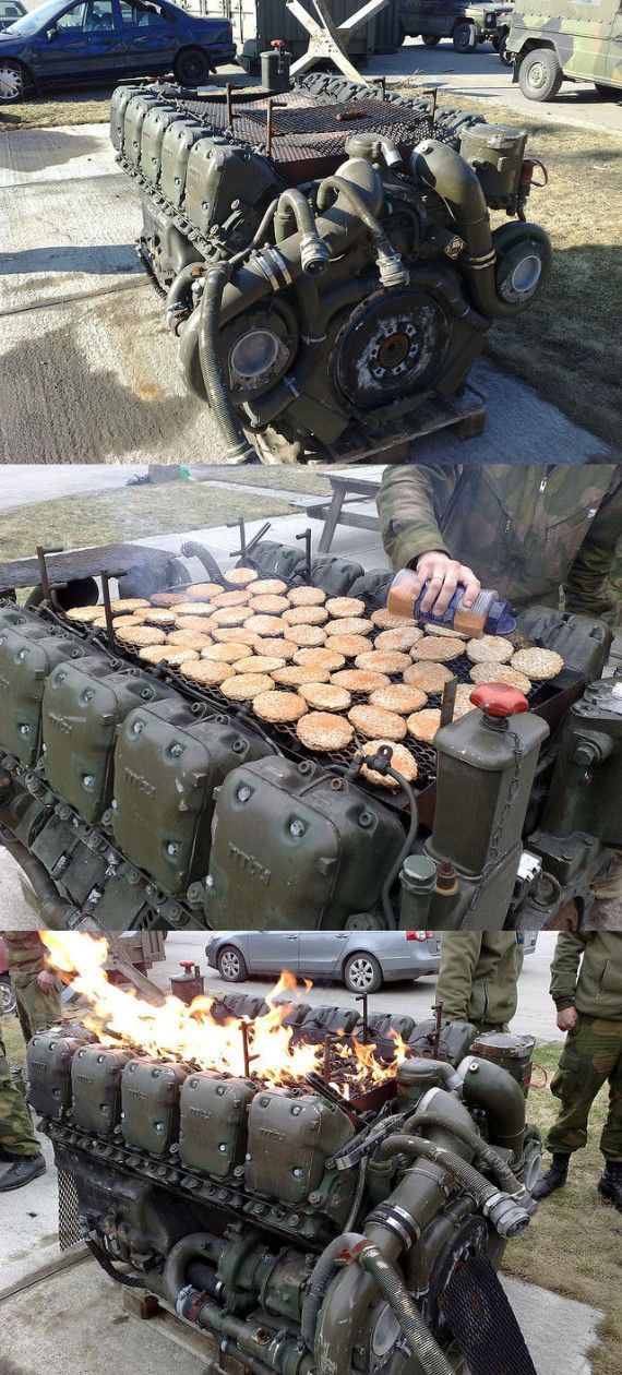 funny-pictures-378