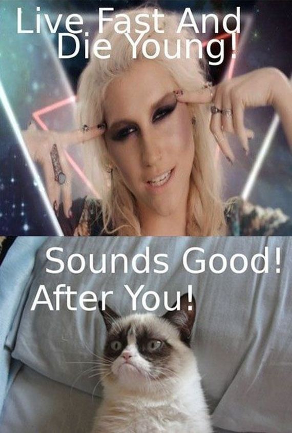 funny-pictures-379