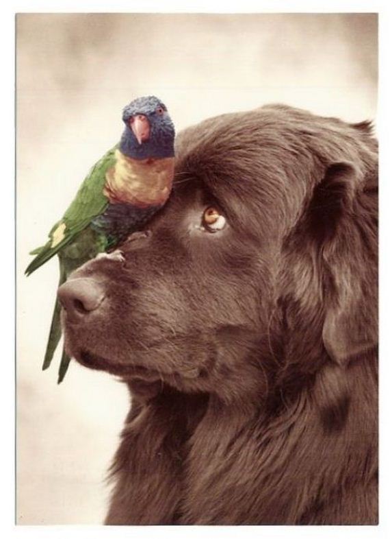 funny-pictures-379